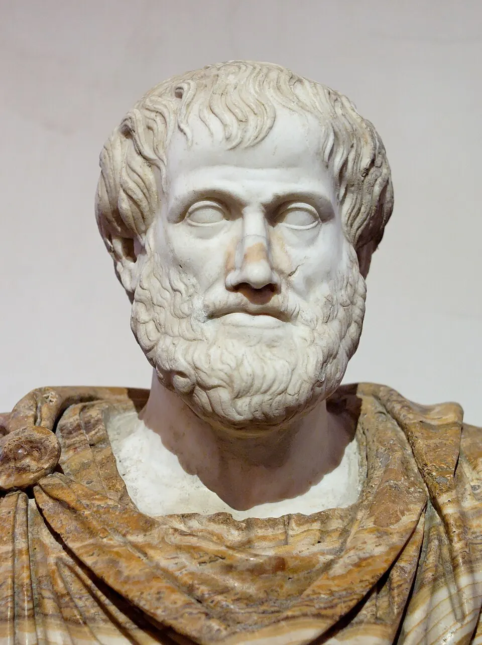 Bust of Aristotle, Roman copy. Palazzo Altemps, Rome.