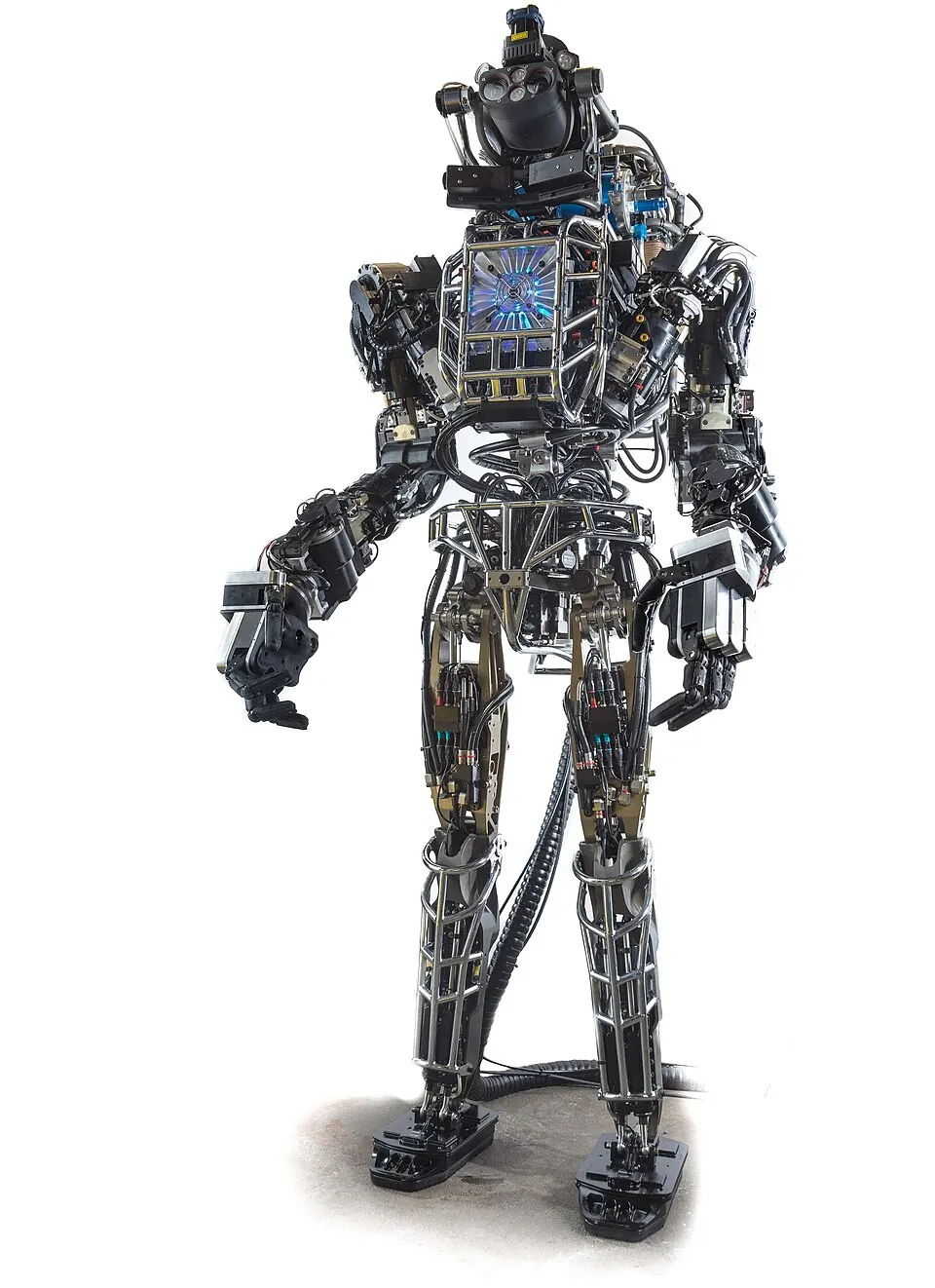 Atlas in 2013. Photo: DARPA.