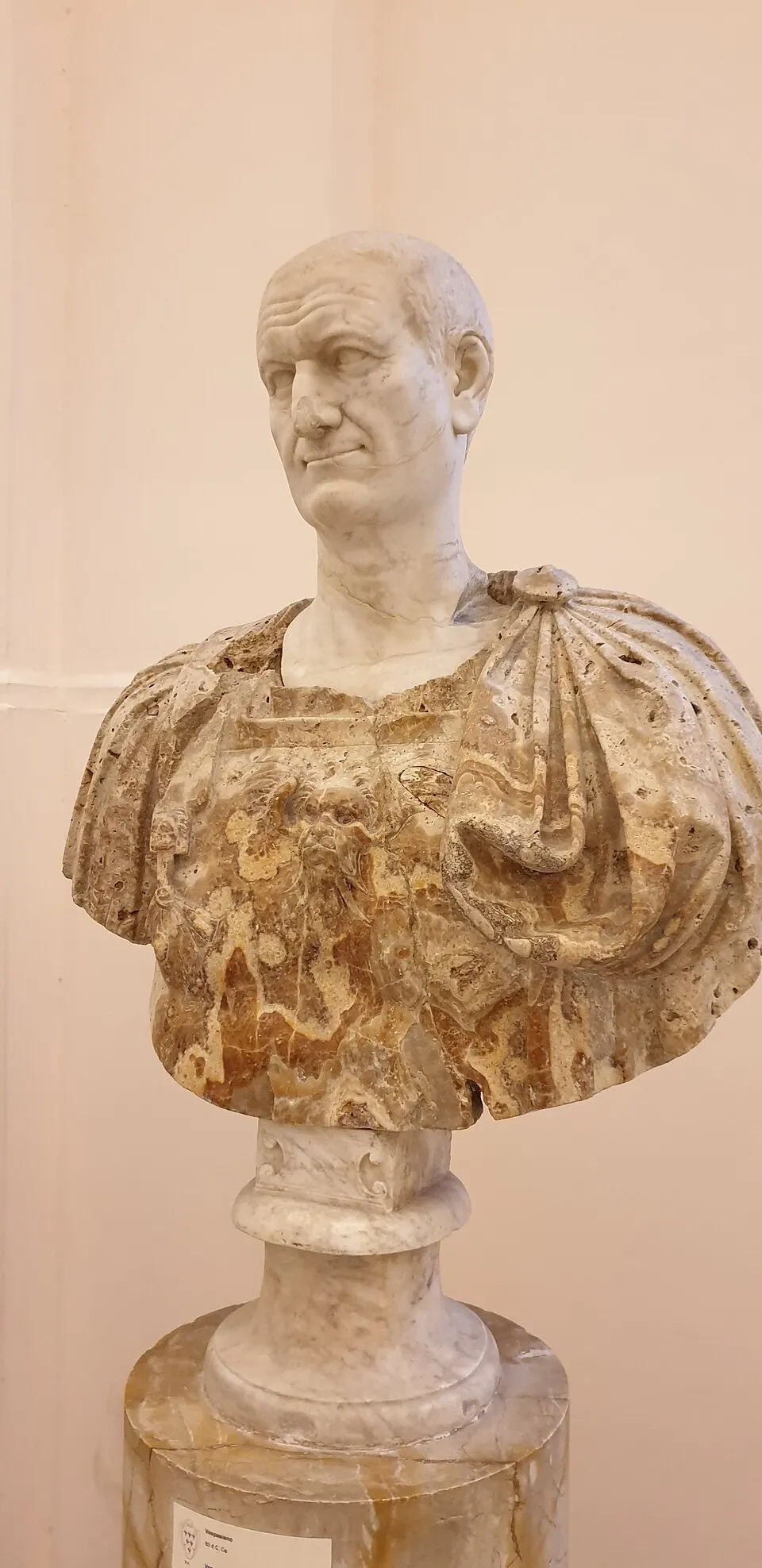 Bust of Vespasian.